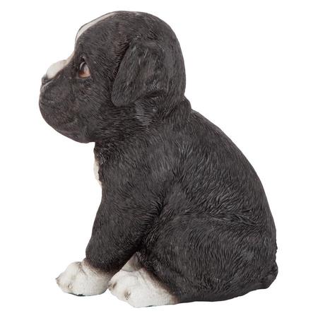 Design Toscano Border Collie Puppy Partner Collectible Dog Statue JQ111032